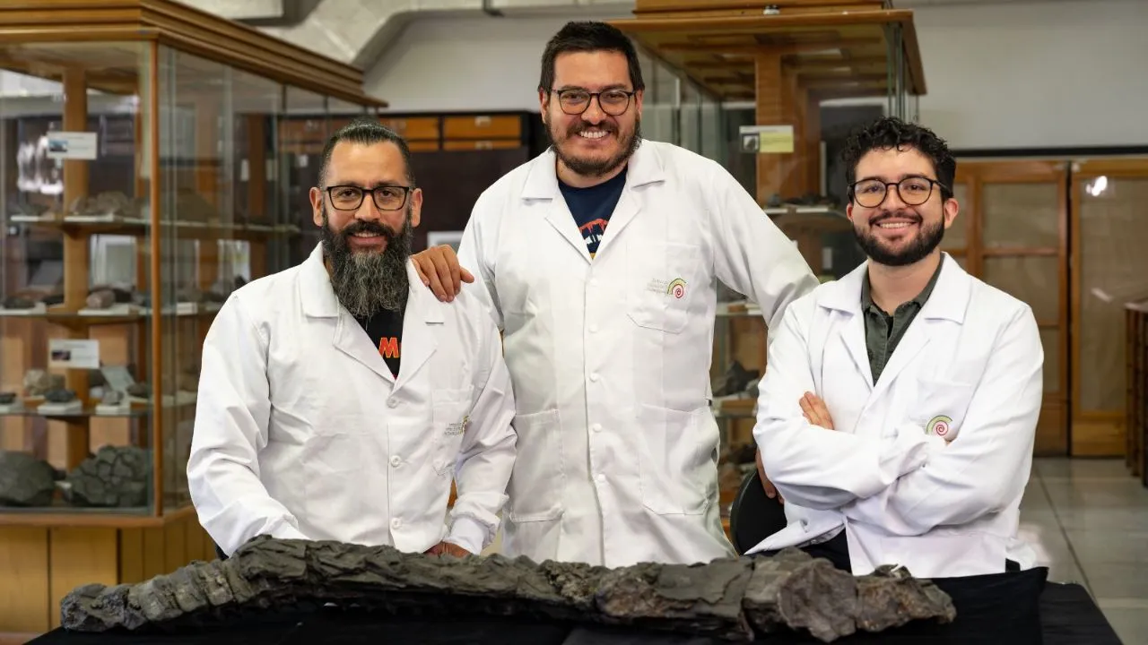 Daniel Pomar, Cristian Benavides y José Narváez, paleontólogos del Museo Geológico Nacional José Royo y Gómez del SGC.
